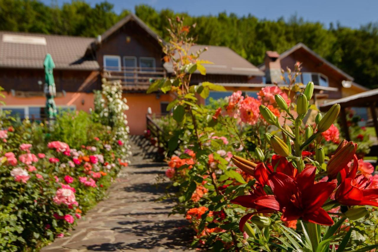 Dumbrava Ursului Otel Zărneşti Dış mekan fotoğraf