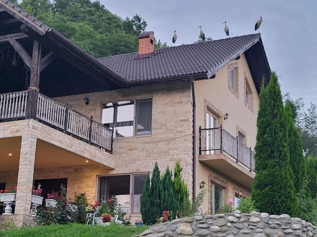 Dumbrava Ursului Otel Zărneşti Dış mekan fotoğraf