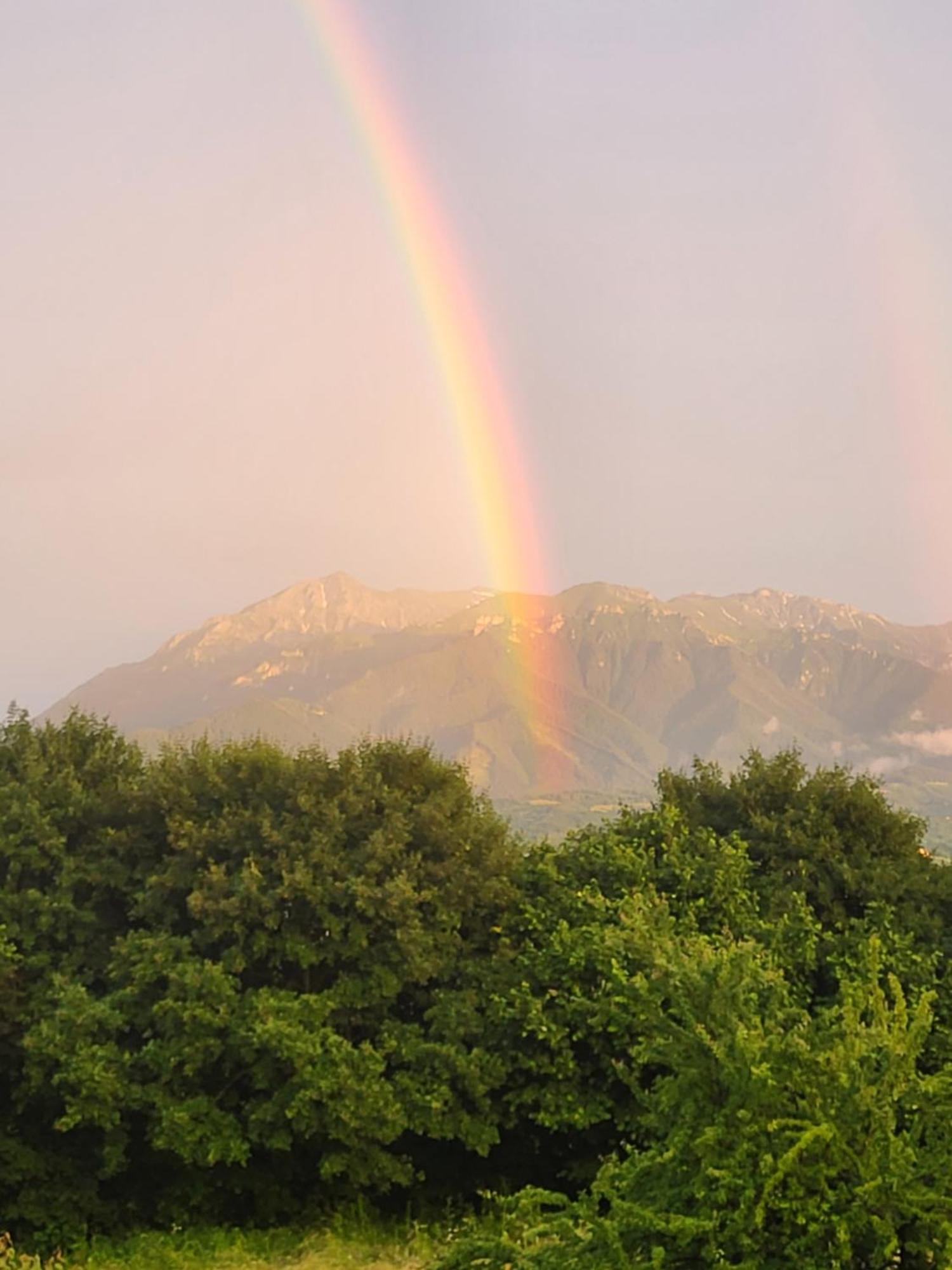 Dumbrava Ursului Otel Zărneşti Dış mekan fotoğraf