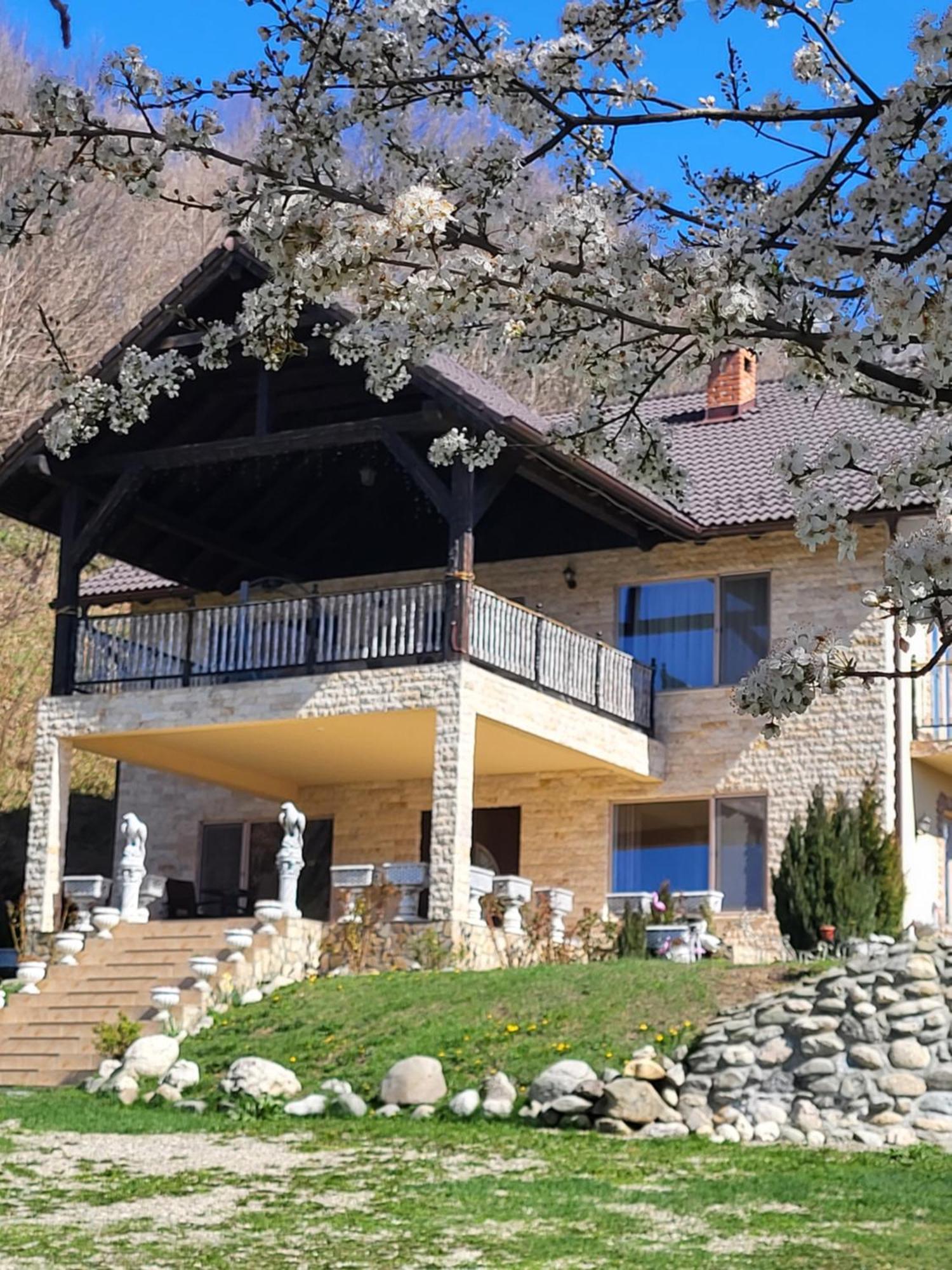 Dumbrava Ursului Otel Zărneşti Dış mekan fotoğraf