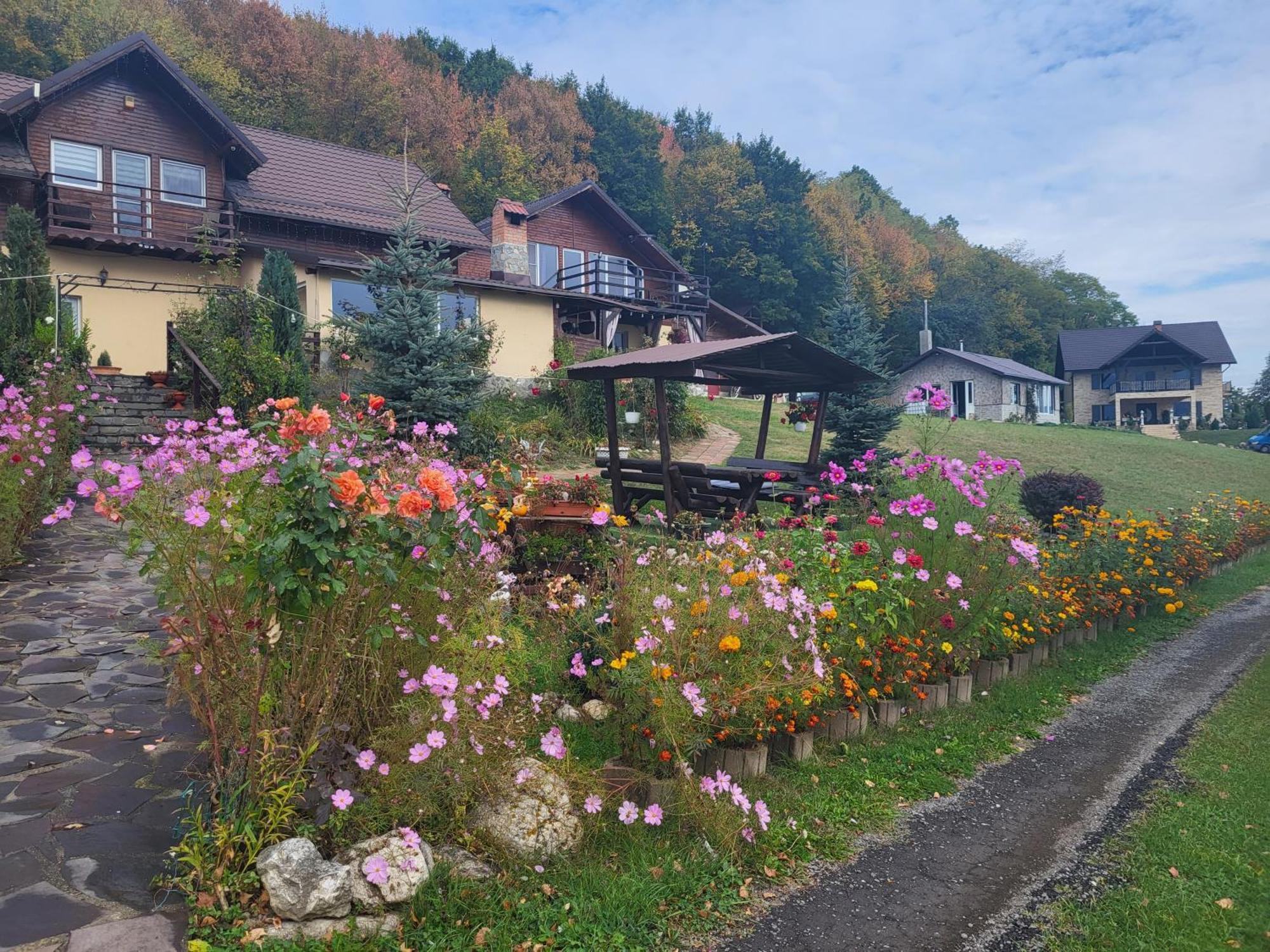 Dumbrava Ursului Otel Zărneşti Dış mekan fotoğraf