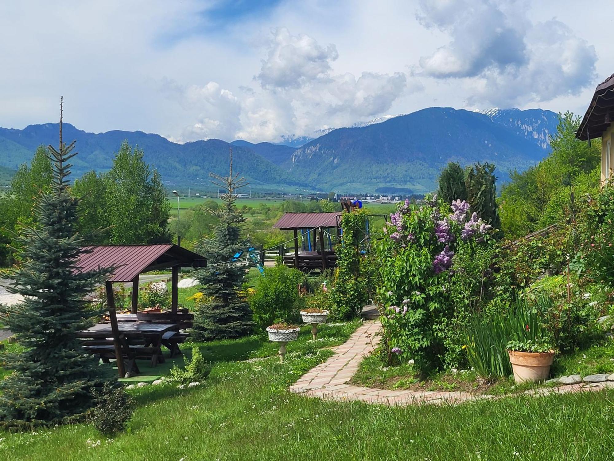 Dumbrava Ursului Otel Zărneşti Dış mekan fotoğraf